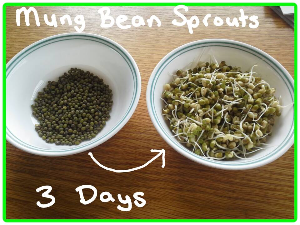 Sprouting and Activating