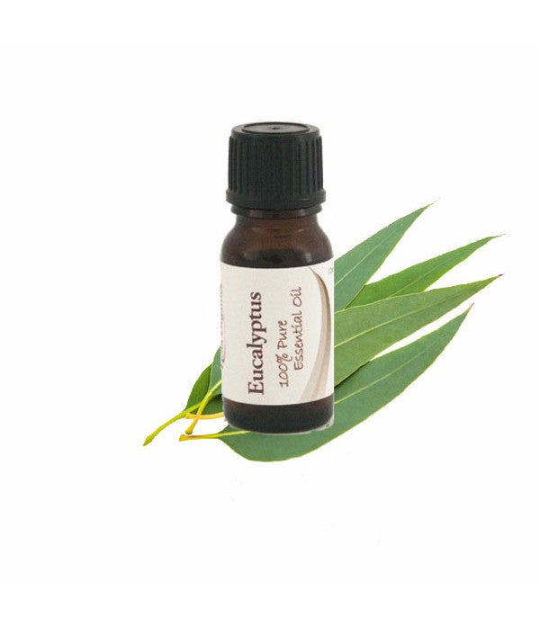 Viola Essential Oil - Eucalyptus 12ml